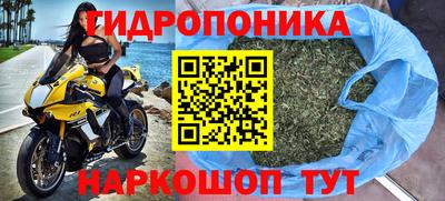 крисы Апшеронск