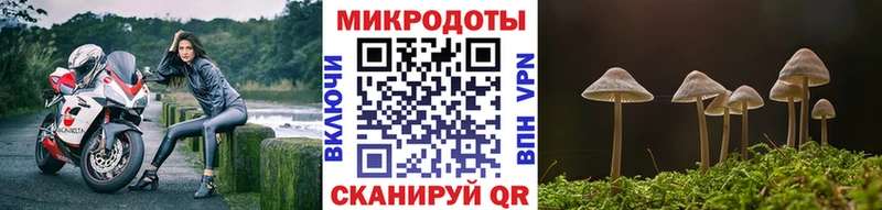 Псилоцибиновые грибы мухоморы где найти Балабаново