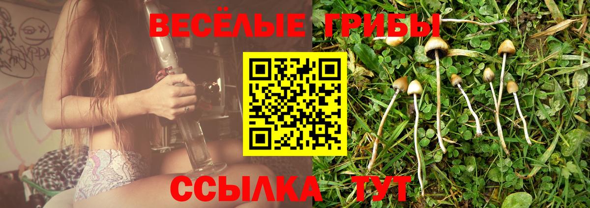 Галлюциногенные грибы мицелий Балабаново