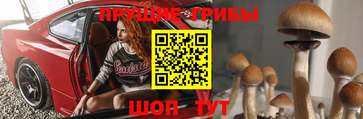 Галлюциногенные грибы Magic Shrooms Балабаново